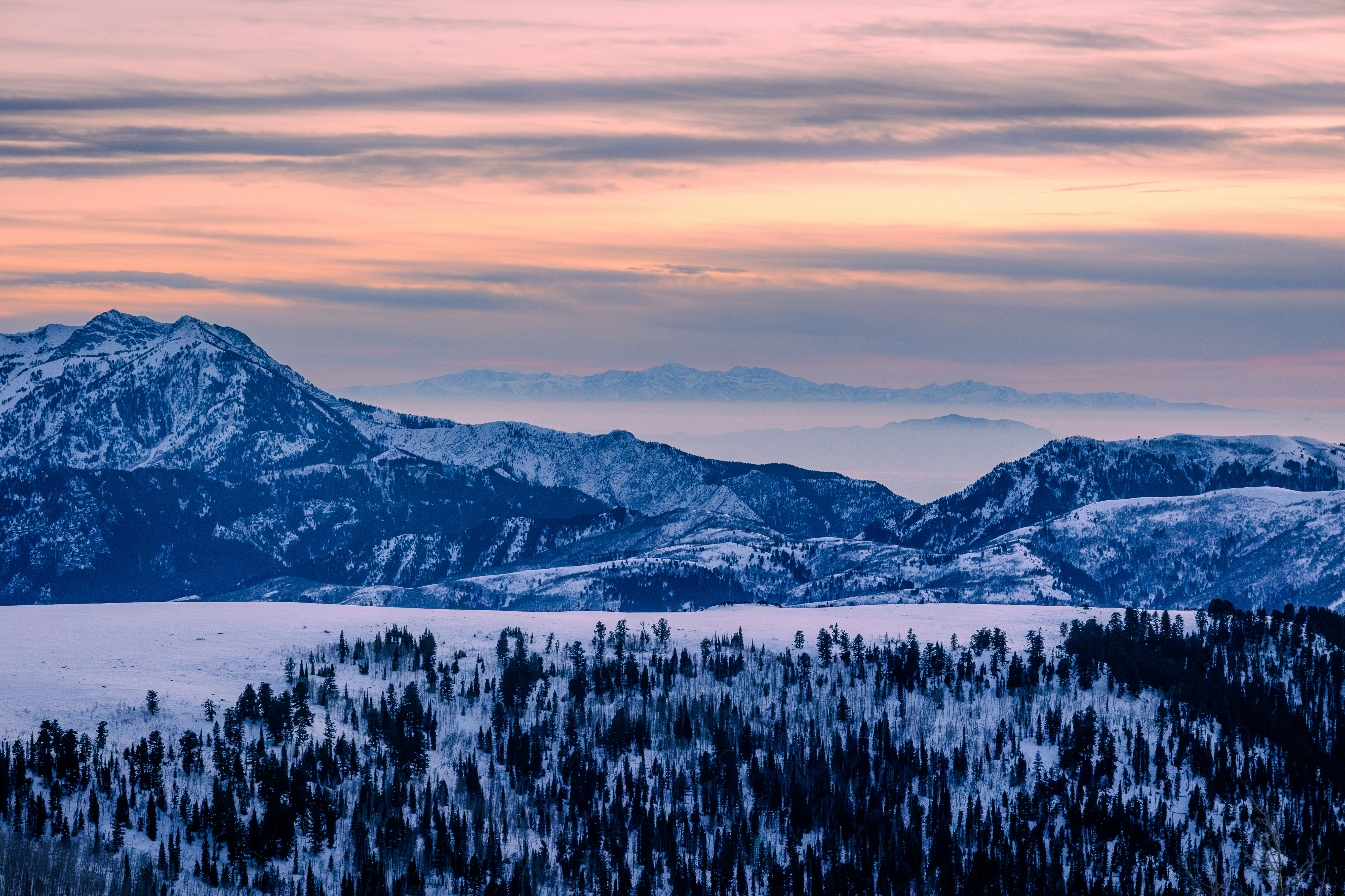 Photo by jossbroward