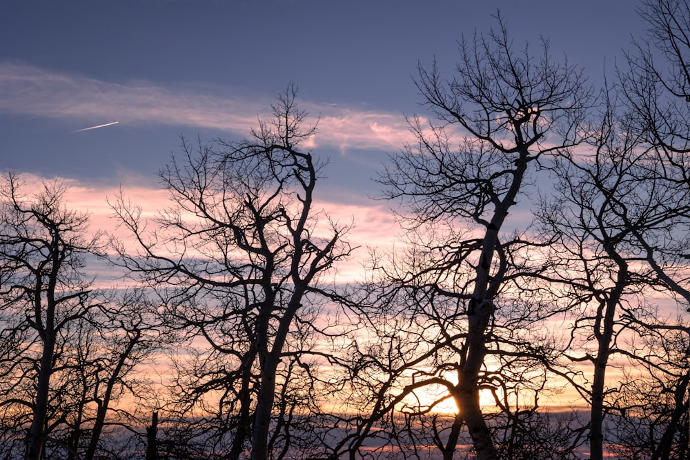 the sun is setting behind some bare trees