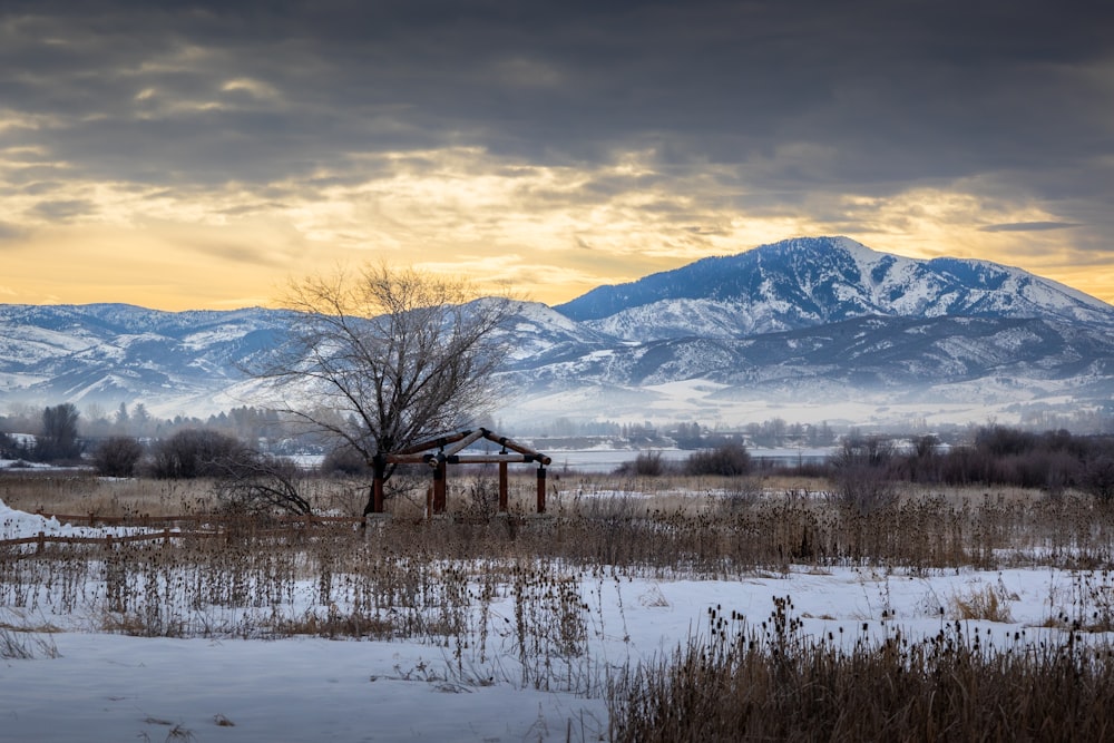 a snow covered field with mountains in the background