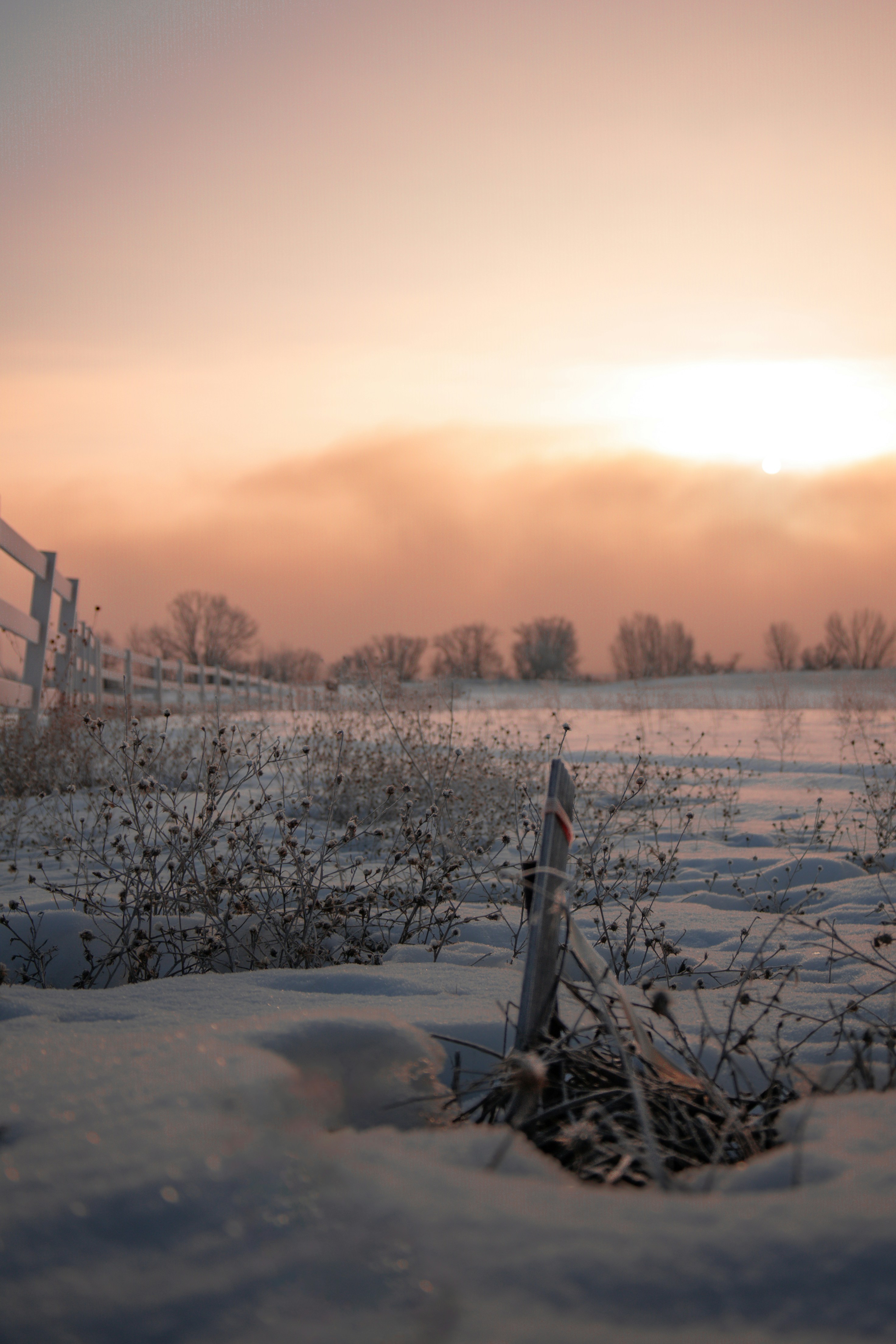 Photo by jossbroward