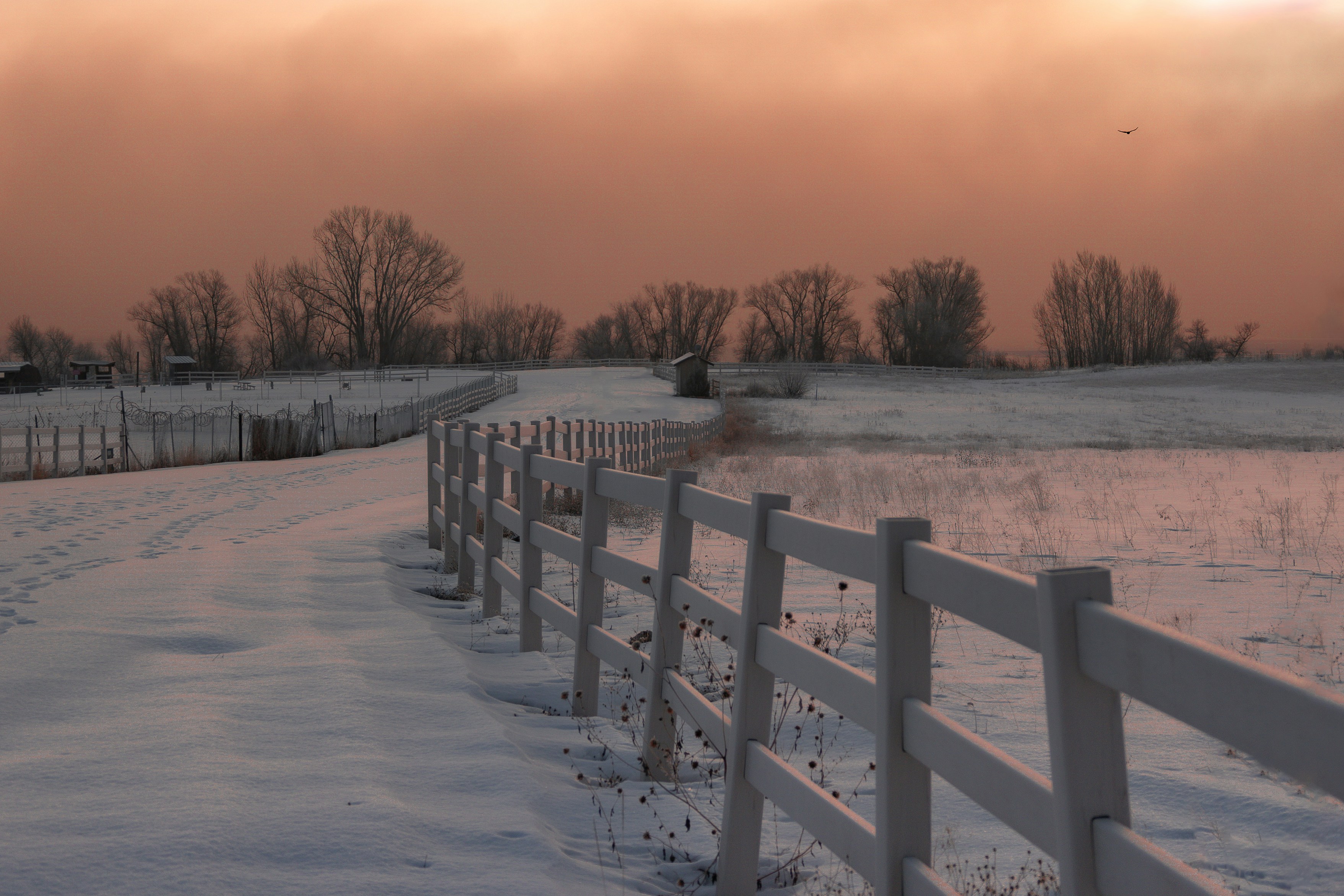 A snow covered field with a white fence photo – Free Eden Image on Unsplash