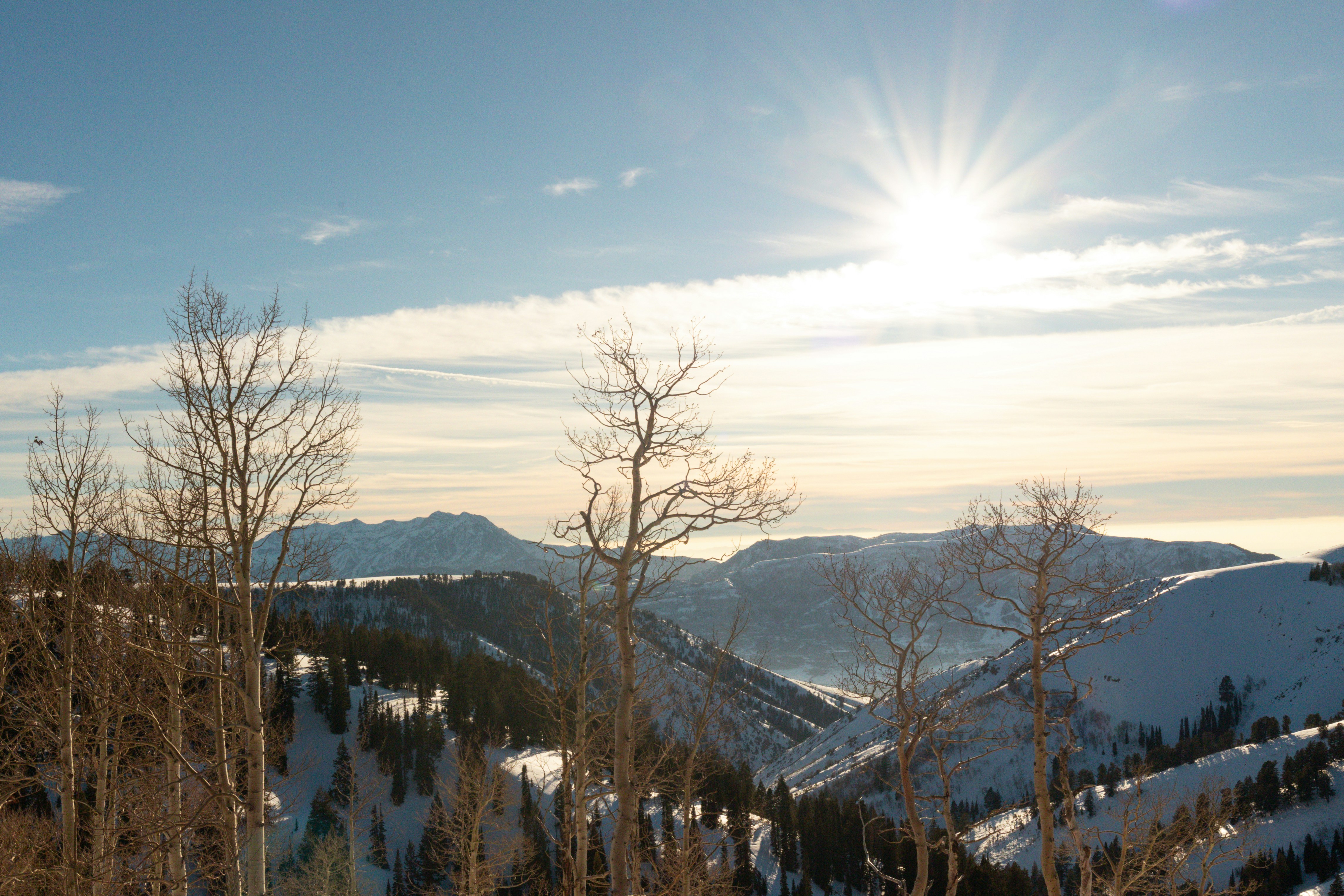 Photo by jossbroward