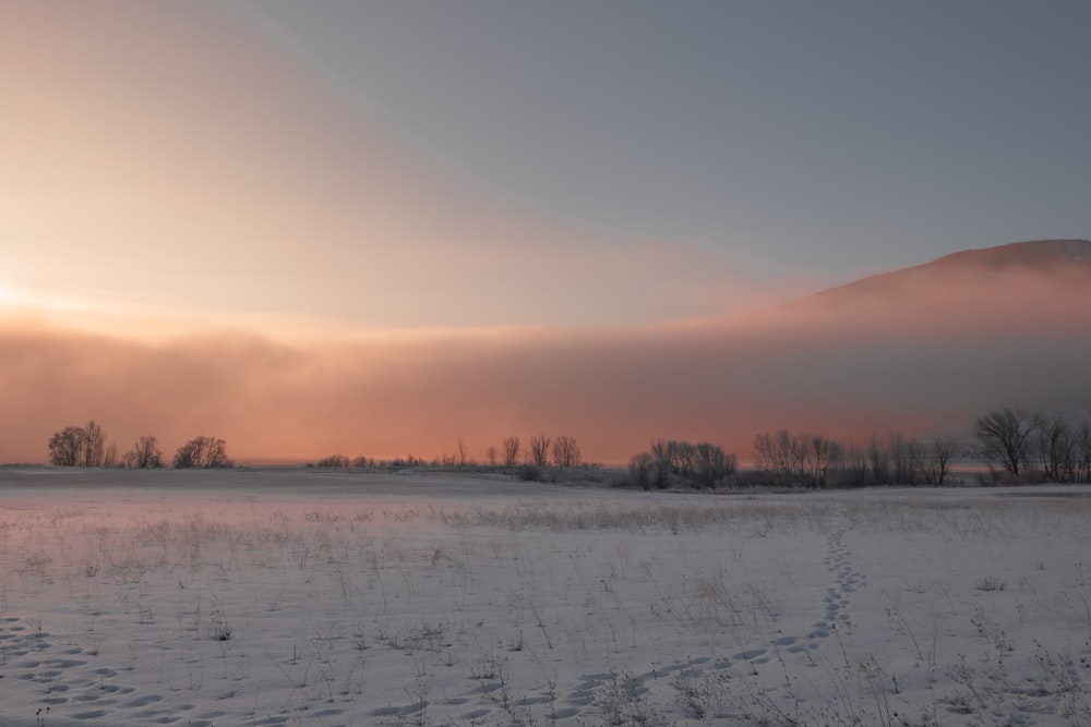 a snowy field with a mountain in the background