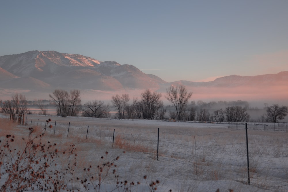 a snowy field with a fence and mountains in the background