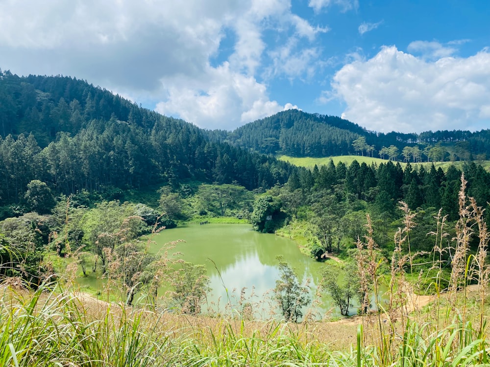 a lake in the middle of a lush green forest