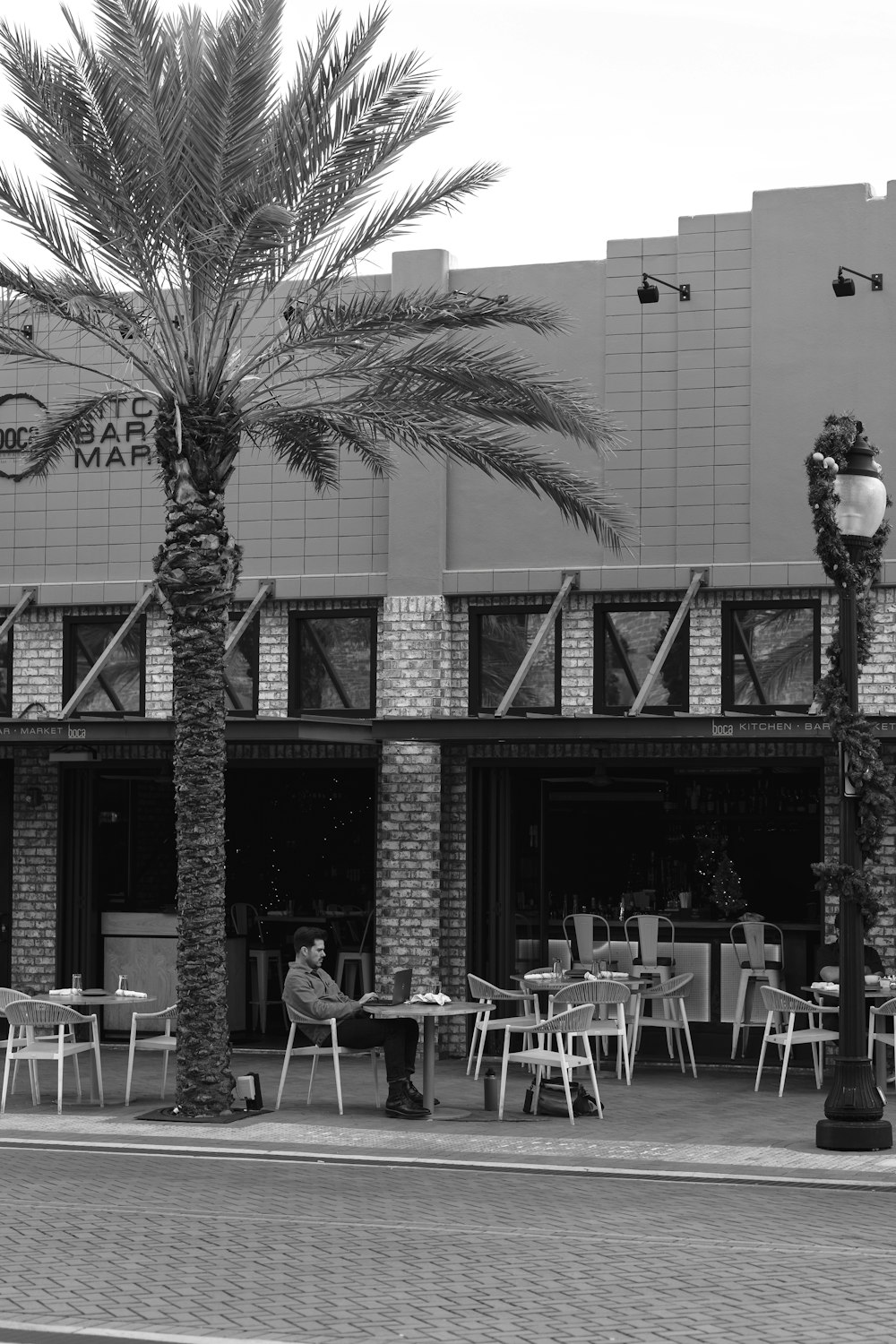 a black and white photo of a palm tree outside a restaurant