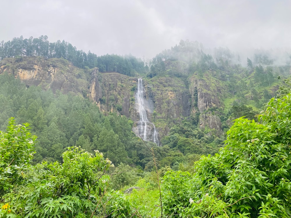 a waterfall in the middle of a lush green forest