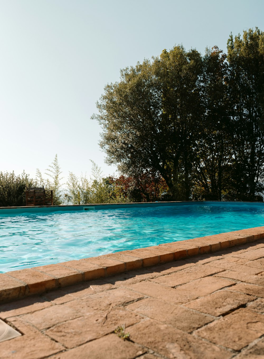 an empty swimming pool with a tree in the background