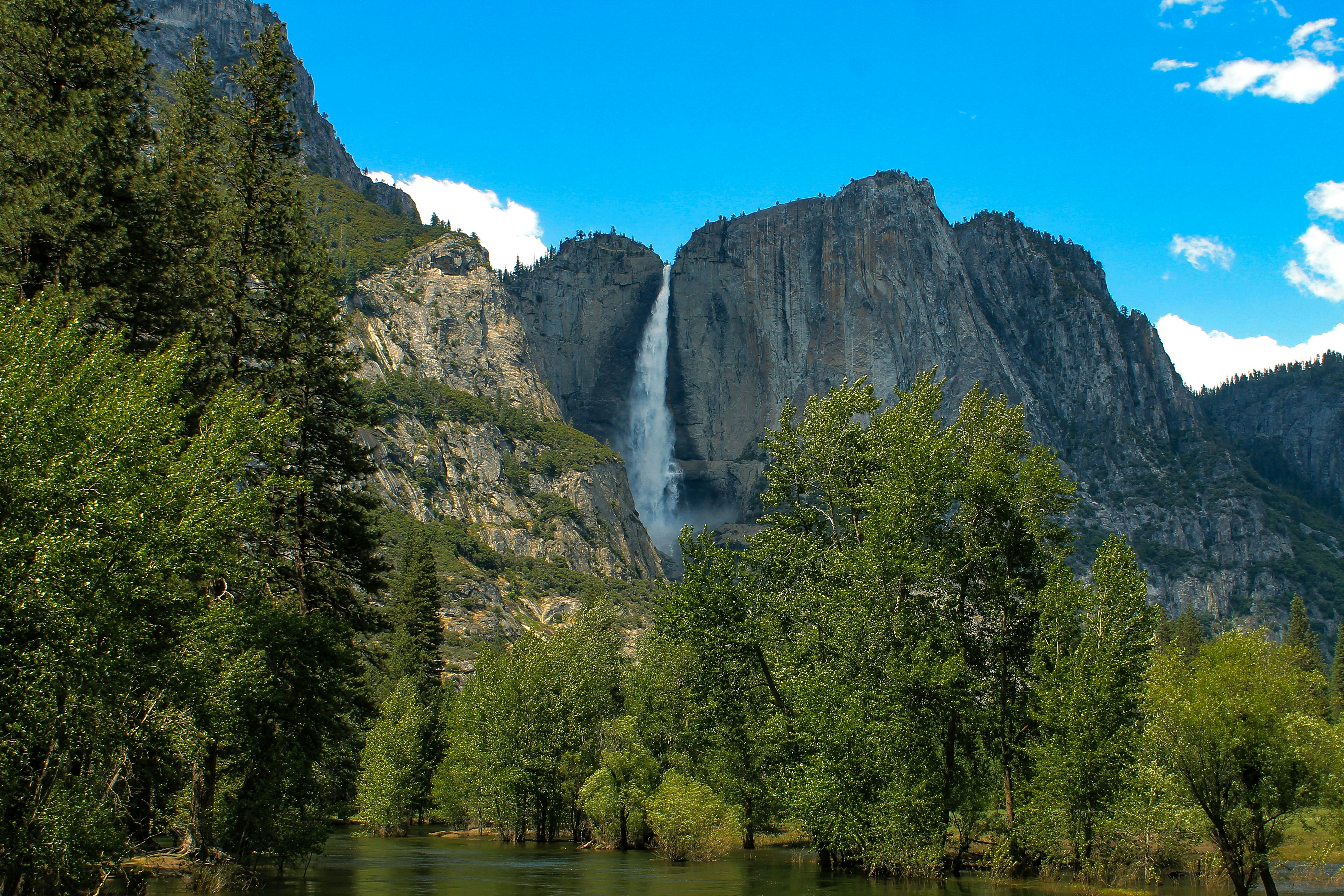 Photo by rachelschauerman