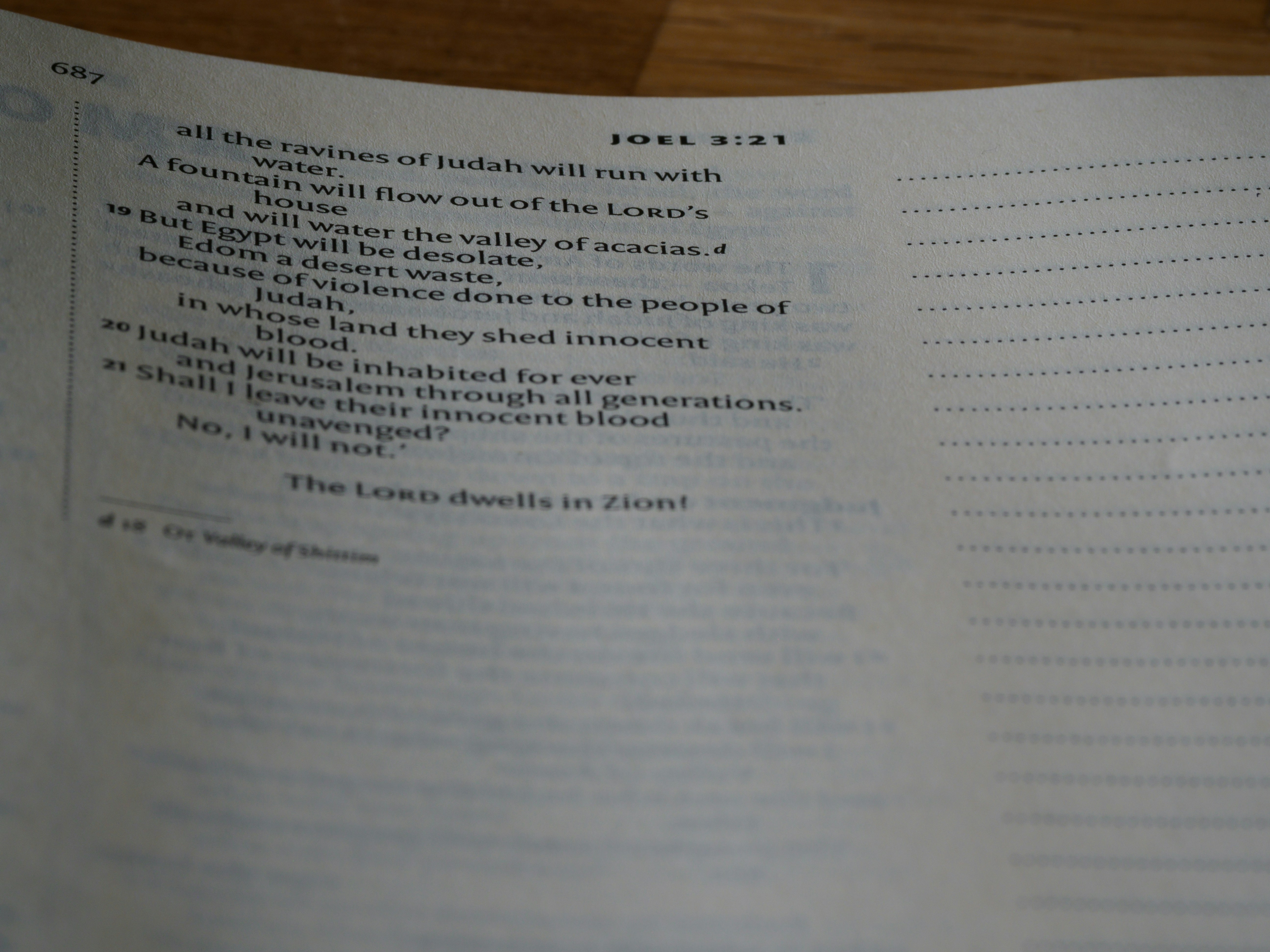 close up, bokeh, macro, blur, blurred background, close focus, bible, old testament, hebrew bible, christian, judaism, history, text, reading, bible study, devotions, text, NIV, New International Version, type, typography, canon, christianity, holy scripture, holy bible, scripture, old testament, hebrew bible, prophecy, exile, judgement, judgment, redemption, septuagint, destruction of jerusalem, restoration of israel, restoration, joel, locusts, locust, minor prophets, son of pethuel, nevi’s,