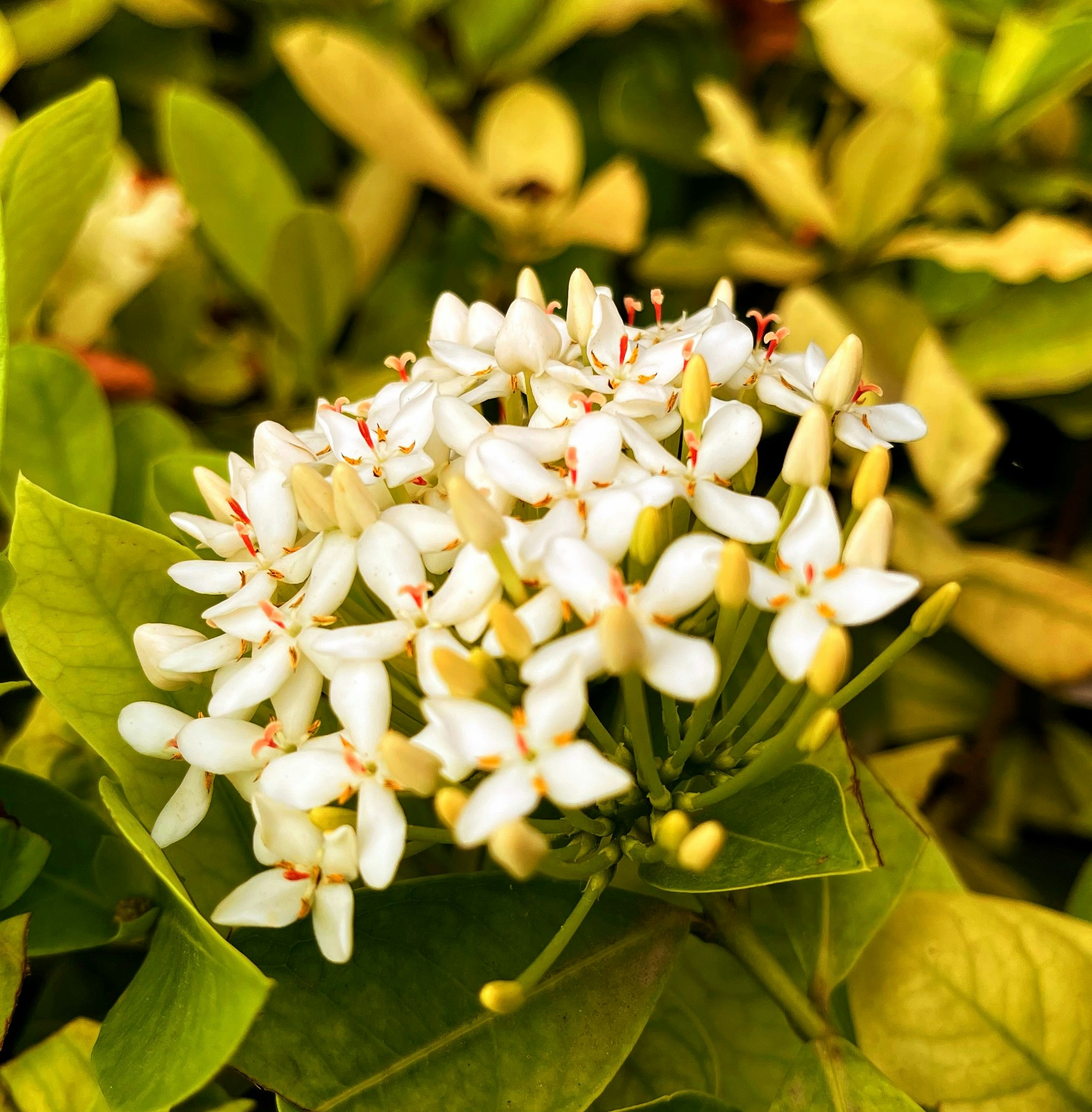 Photo by creativephotography_1121