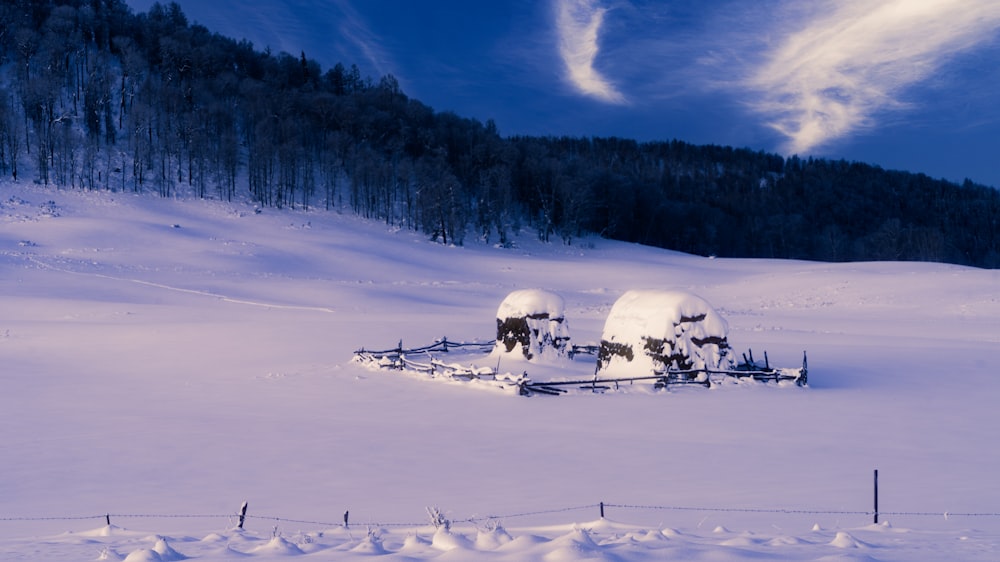 a snow covered field with trees in the background