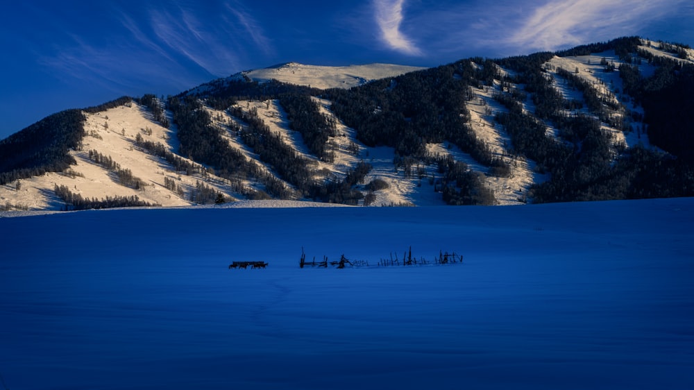 a snowy landscape with a mountain in the background