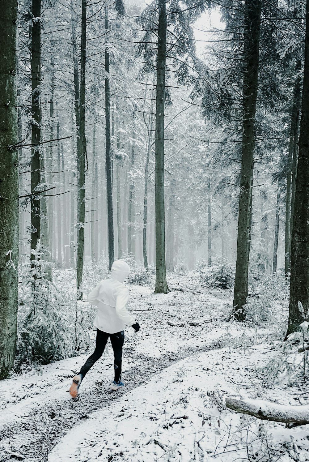 a person walking in the snow through a forest