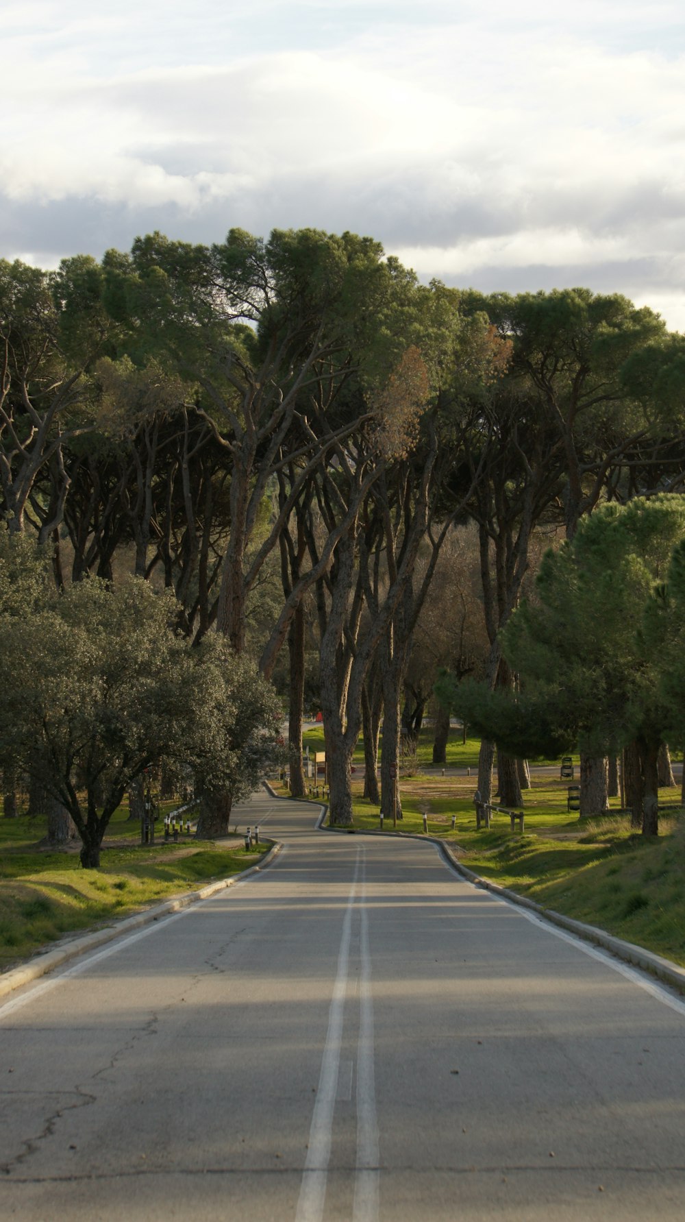 an empty street with trees on both sides