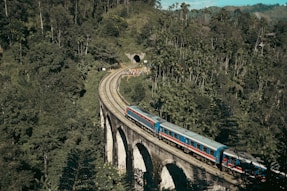 a blue and red train traveling over a bridge