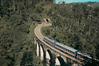 a blue and red train traveling over a bridge