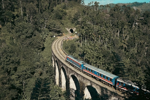 a blue and red train traveling over a bridge