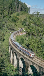 a train traveling over a bridge in the middle of a forest