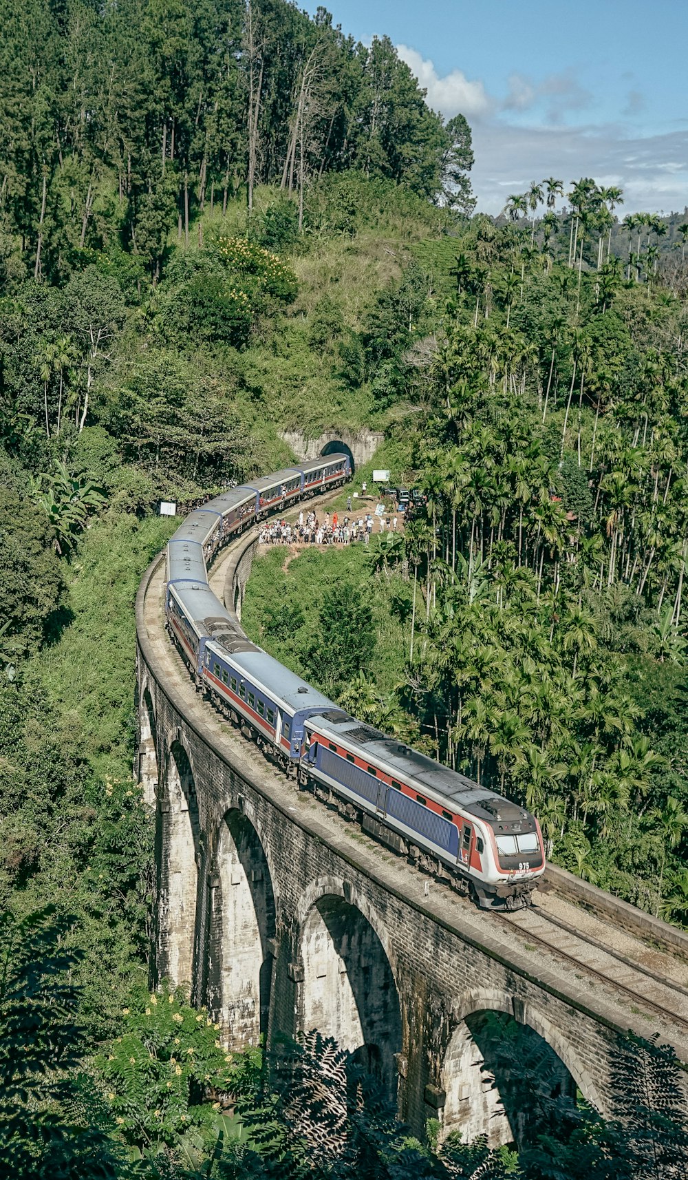 a train traveling over a bridge in the middle of a forest