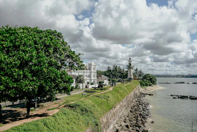 a large body of water next to a lush green hillside