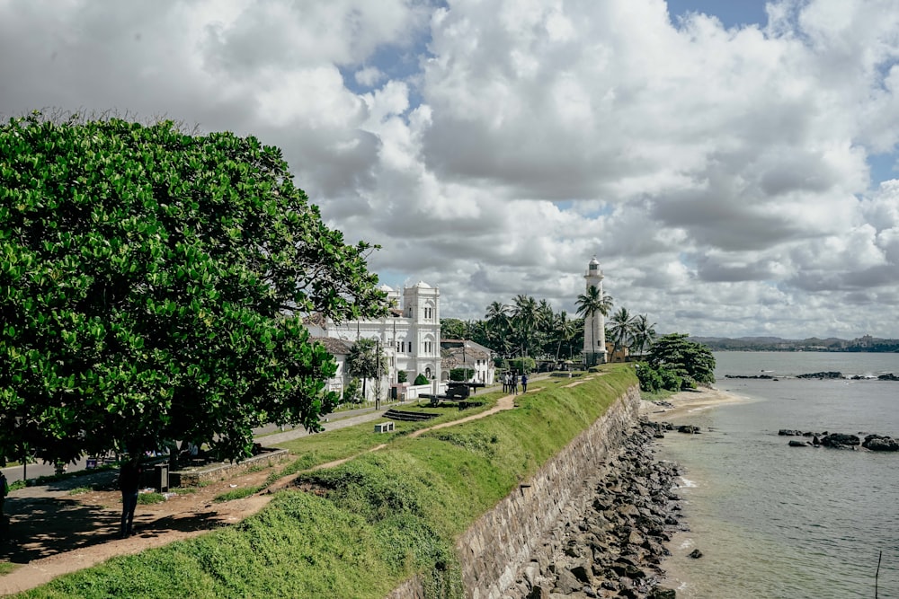 a large body of water next to a lush green hillside