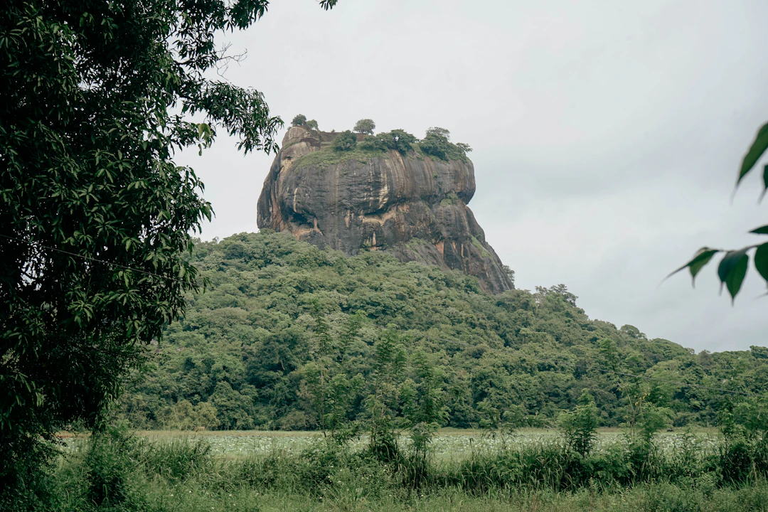 4-Day Sigiriya Family Itinerary: Kid-Friendly Travel Guide