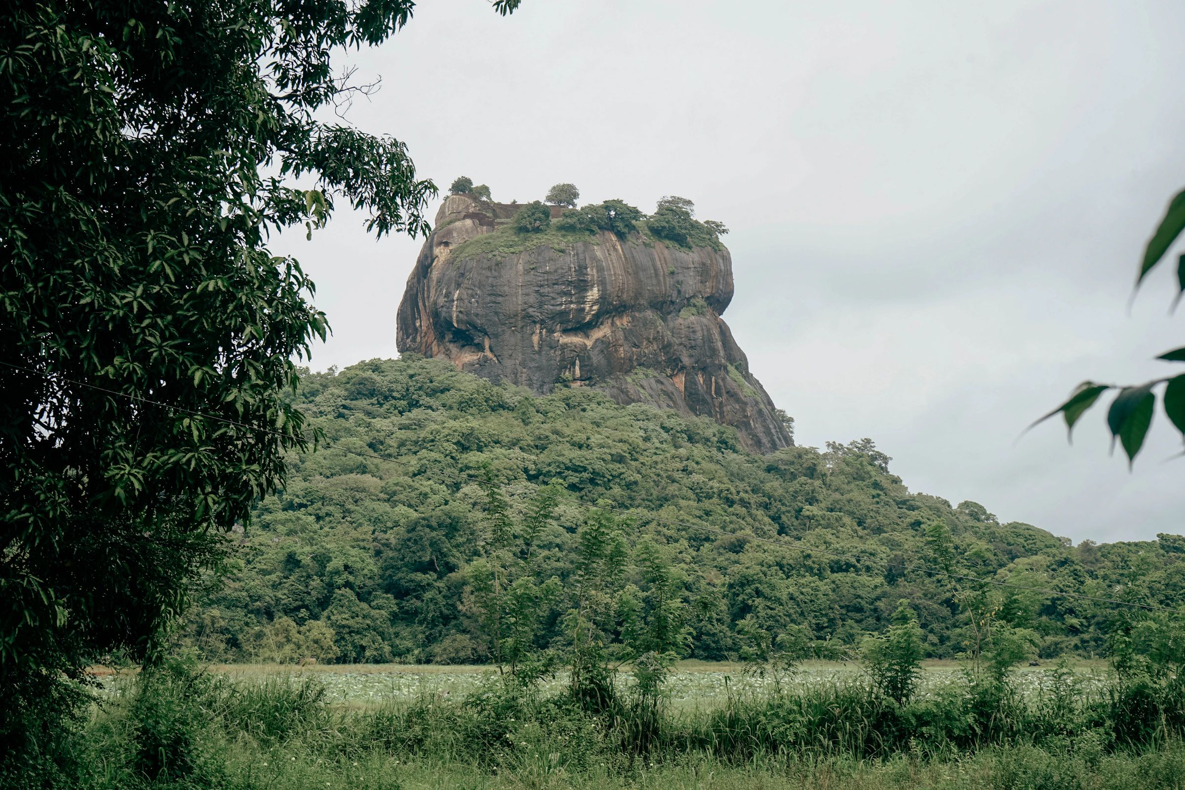 The Lion Rock of Sigiriya seen from the water gardens