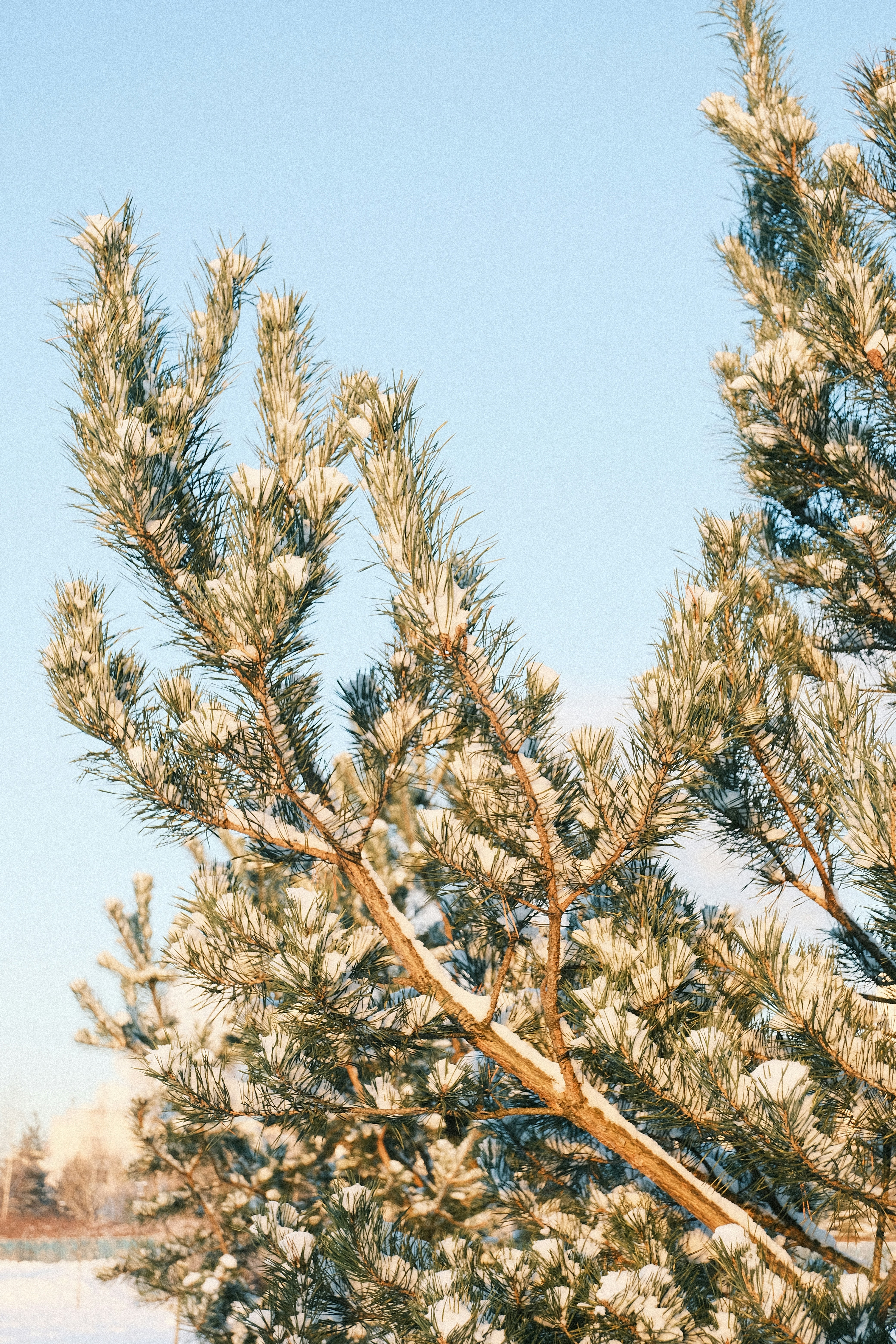 Photo by tatianarudneva