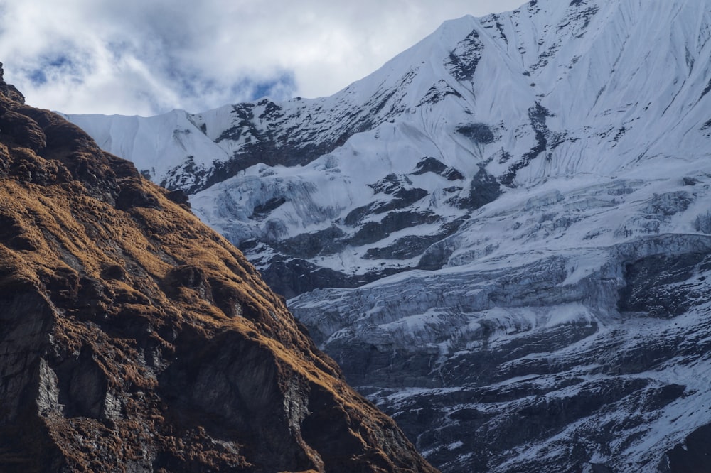 a mountain covered in snow with a bird perched on top of it