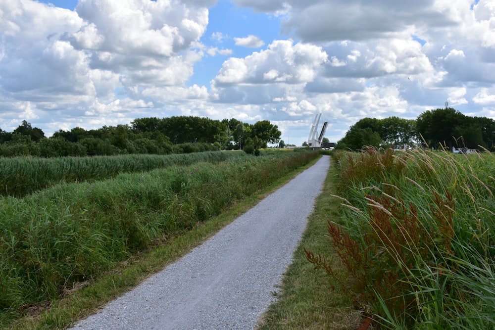 a dirt road in the middle of a grassy field
