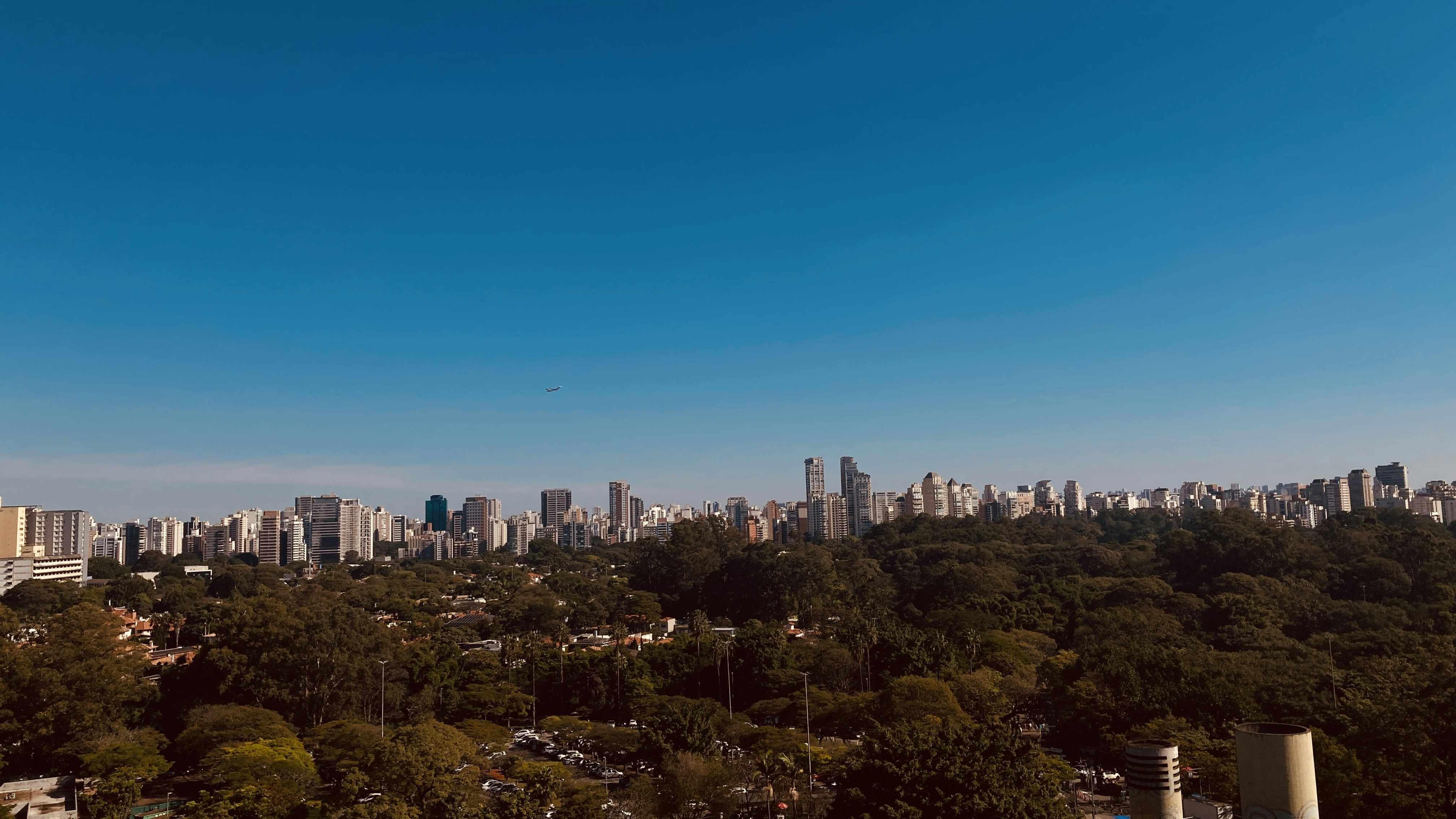 a view of a city with tall buildings and trees