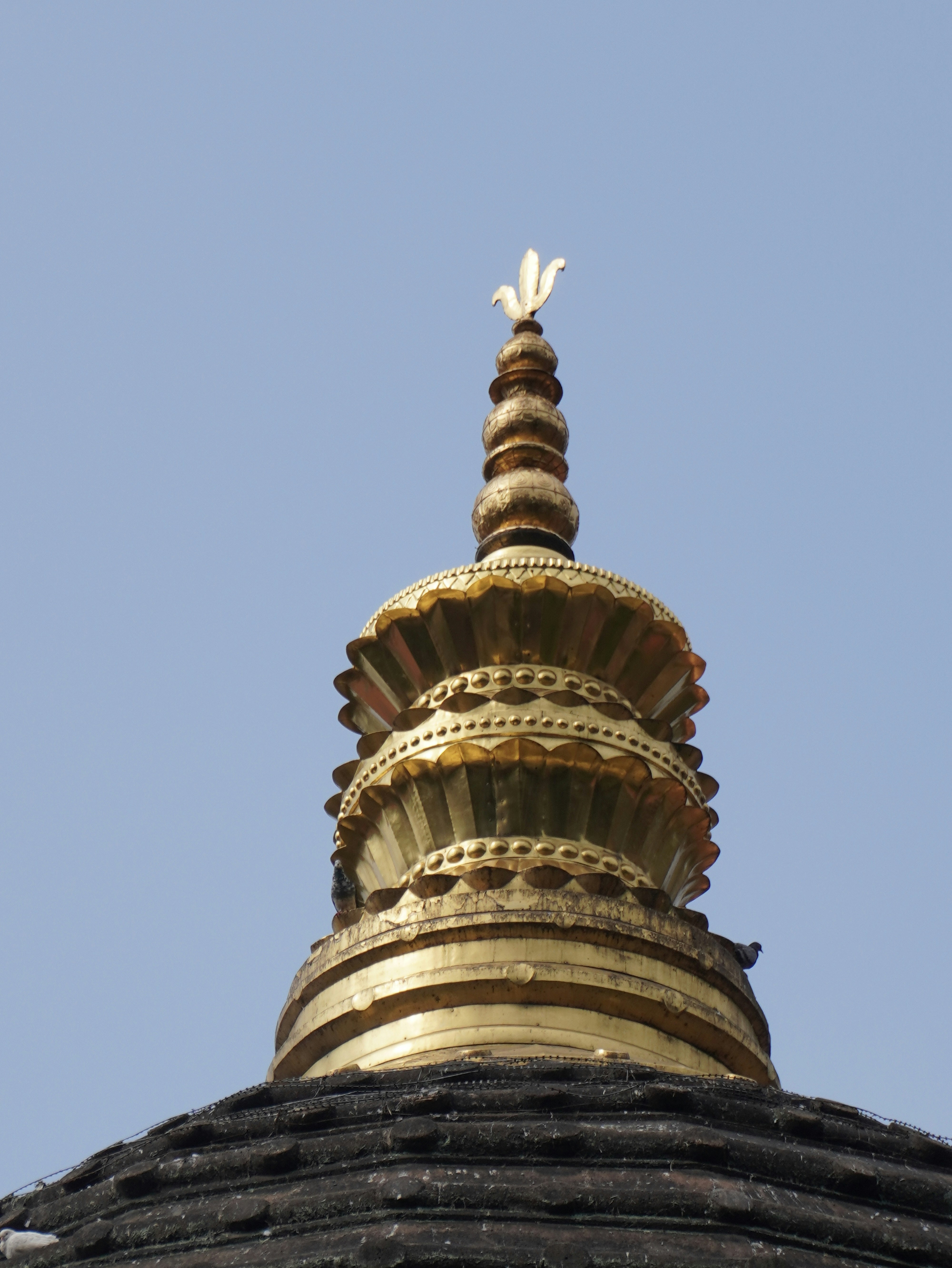 Photo by suhashanjar