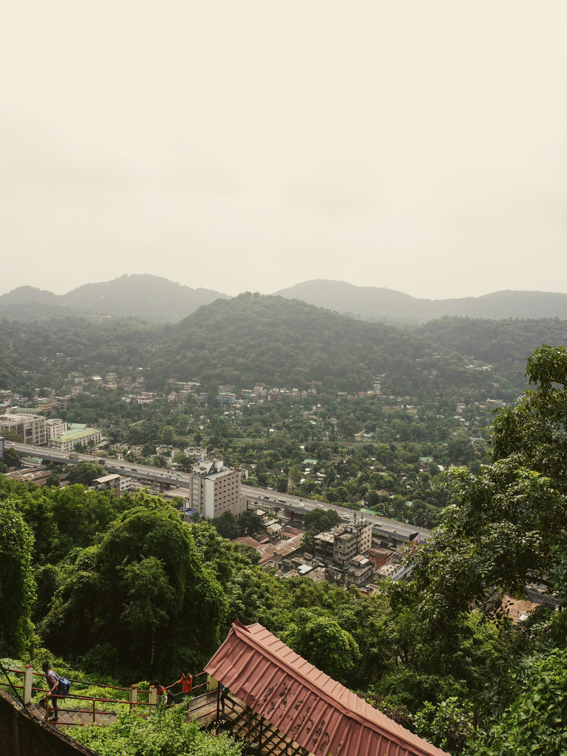 a view of a city with mountains in the background