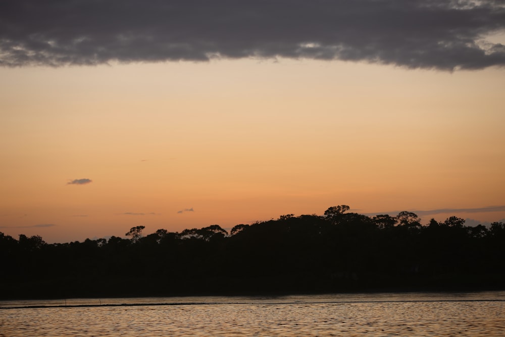 a large body of water with trees in the background