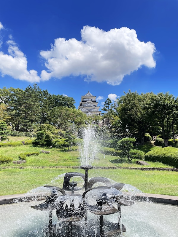 Culinary Delights of Fukuyama: Exploring Local Dishes & Traditions
