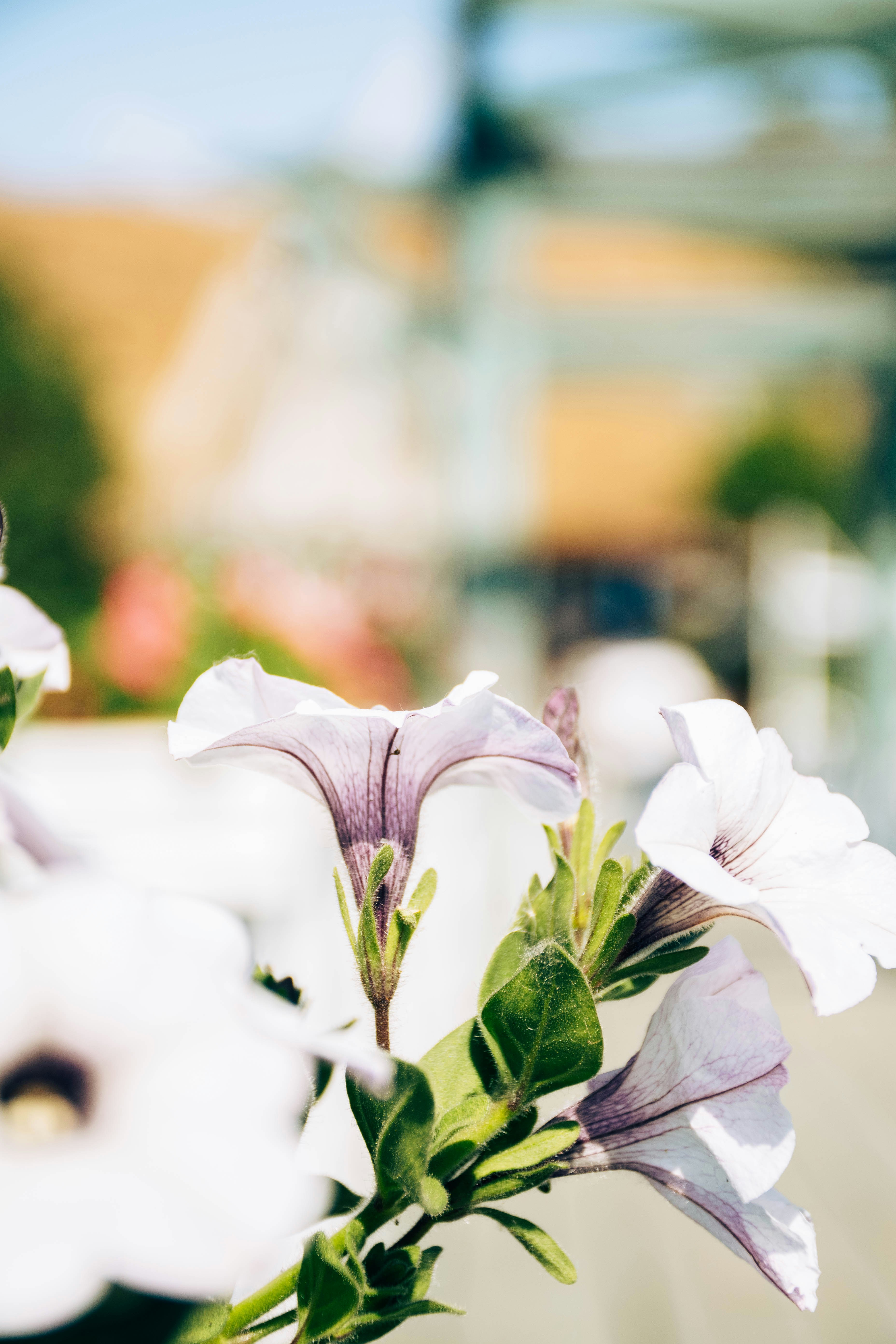 Photo by olga_trishi