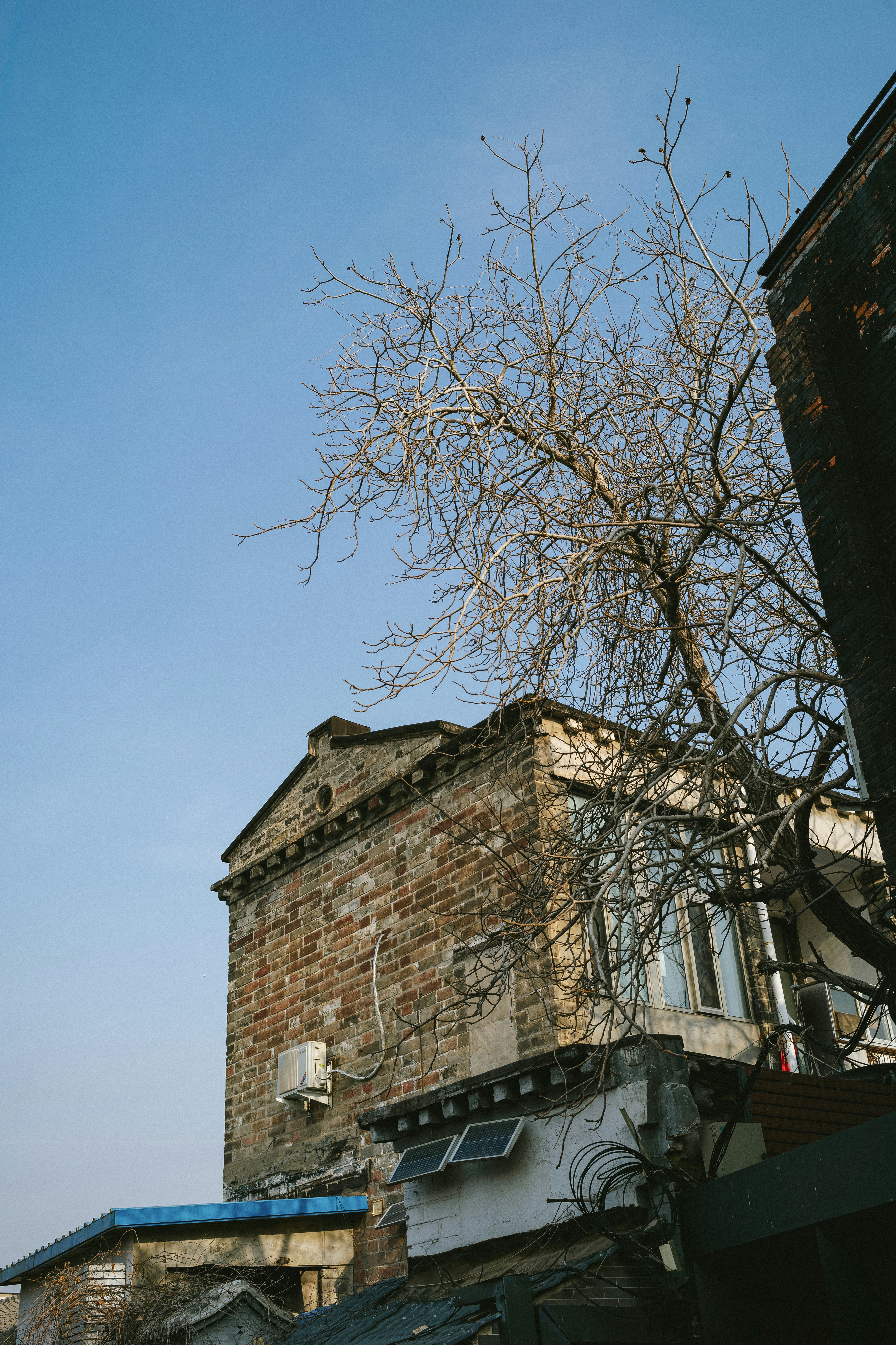 Photo by tommaomaoer