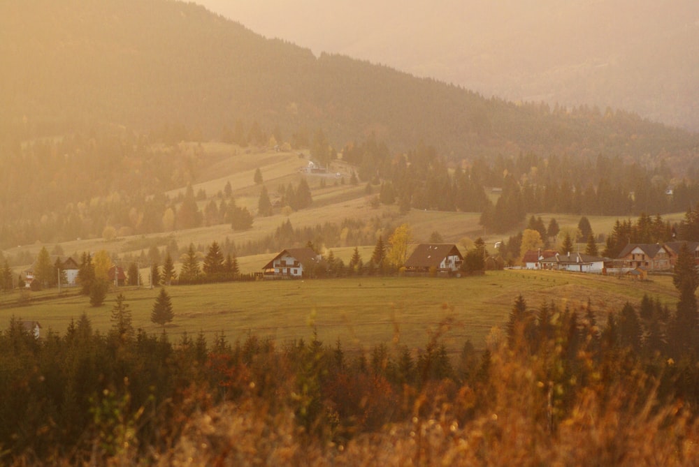 a grassy field with houses in the distance