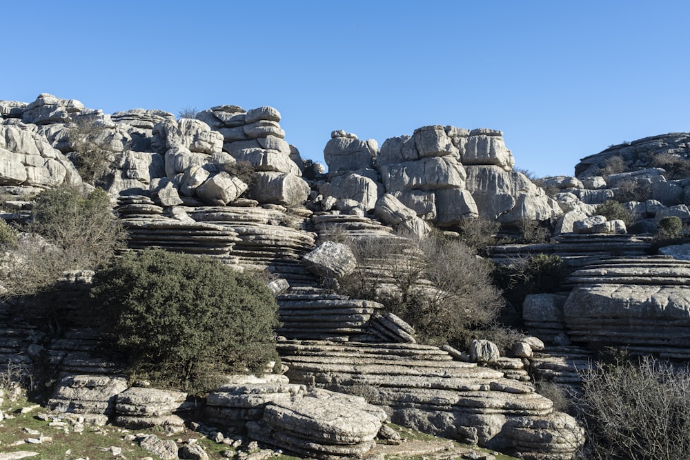 Un paisaje rocoso con árboles y rocas