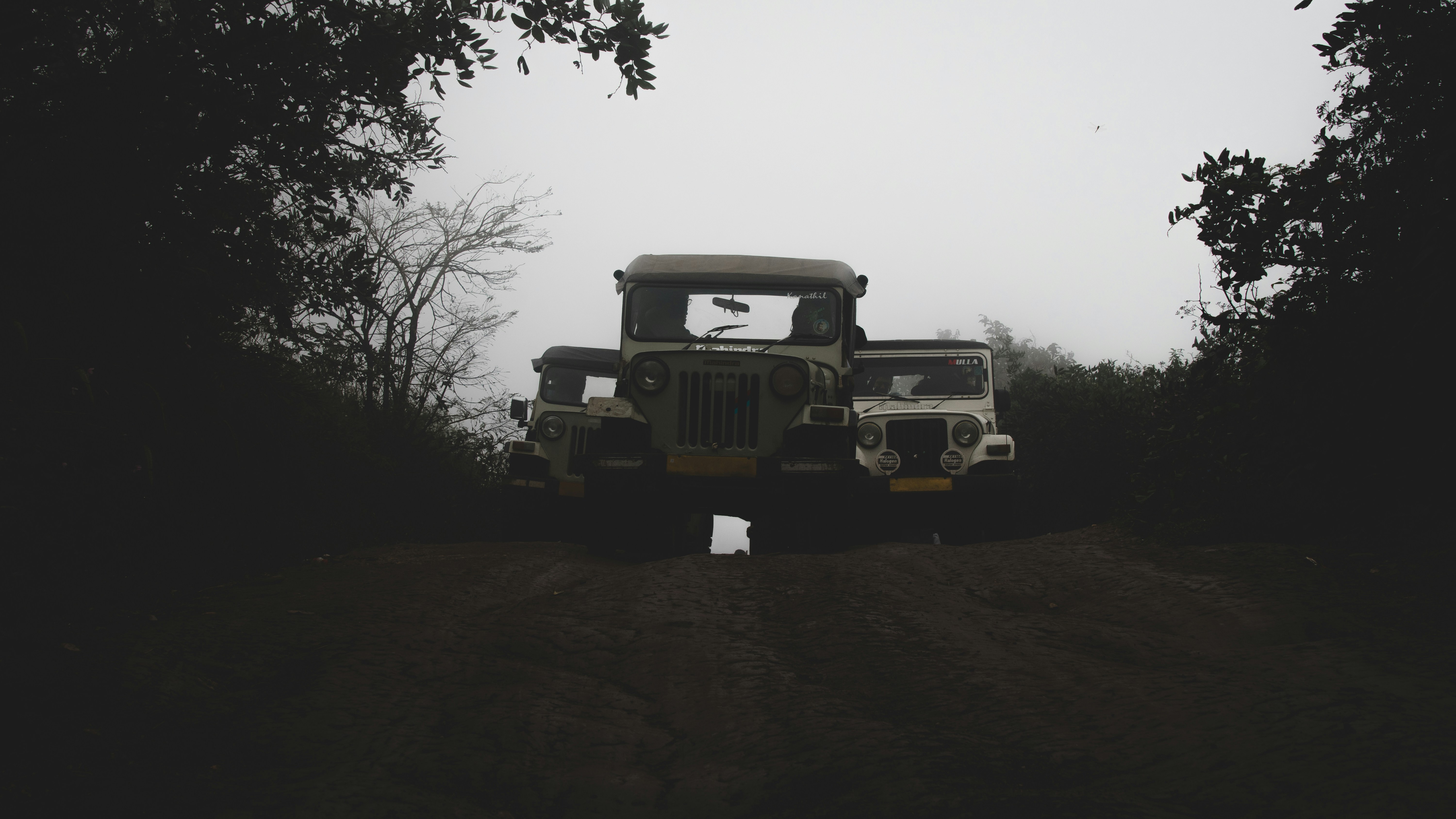 The image shows 3 jeeps navigating through a misty and rugged terrain, surrounded by lush greenery.