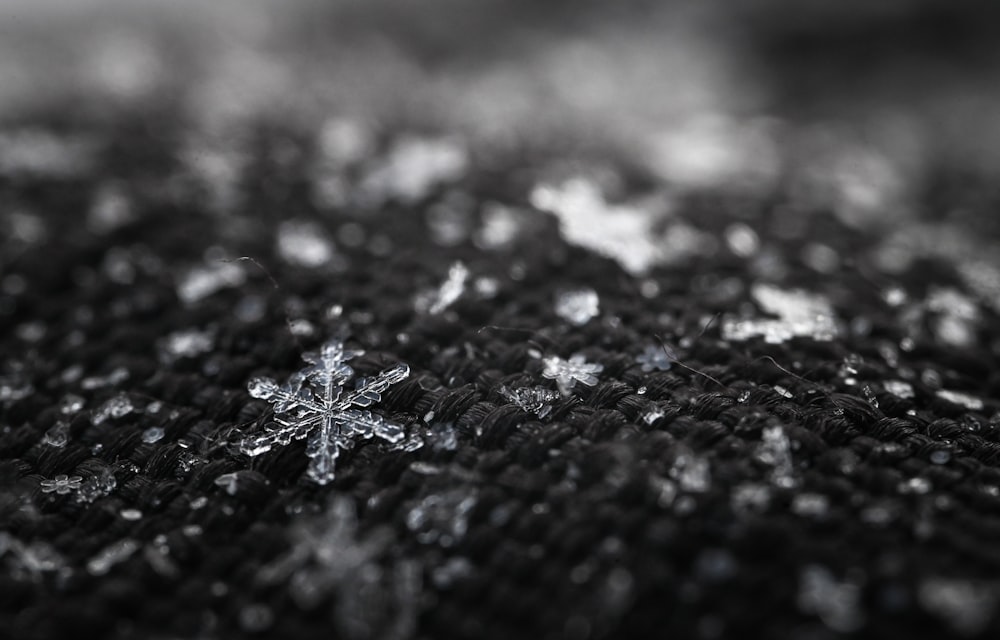 a black and white photo of a snowflake