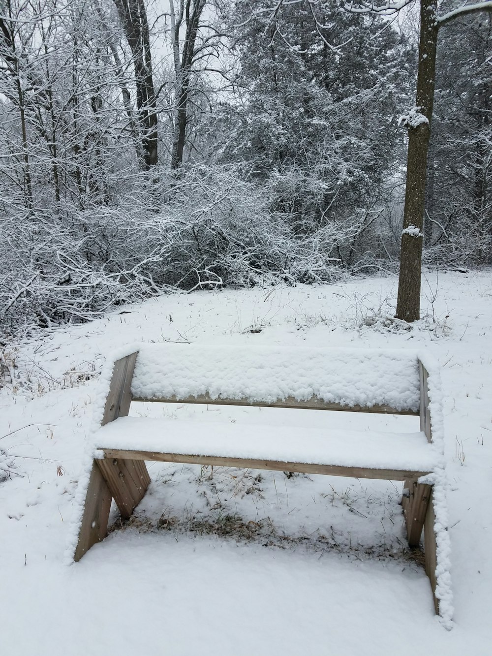 a wooden bench covered in snow next to a tree