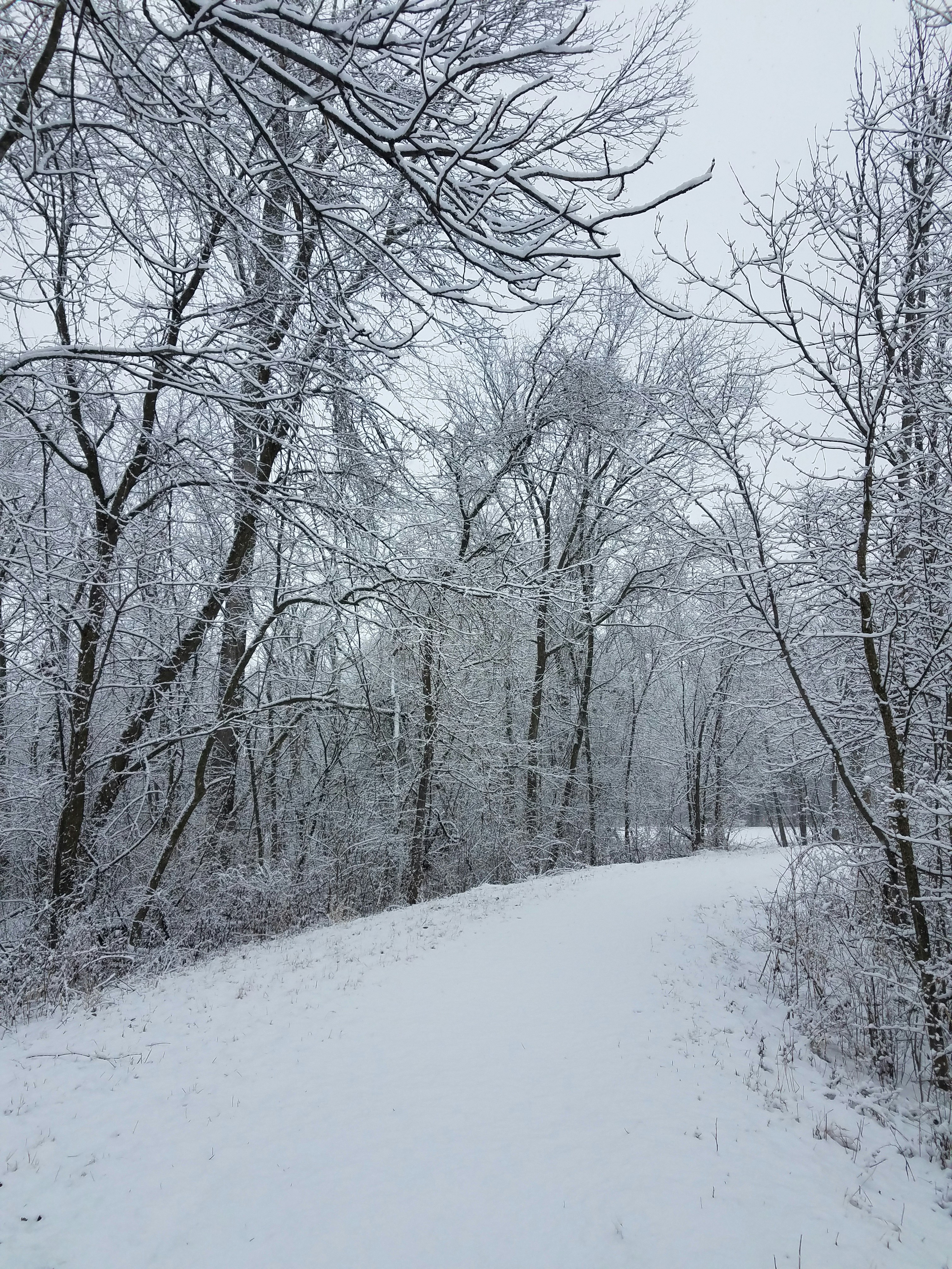 Photo by scarlettweiss