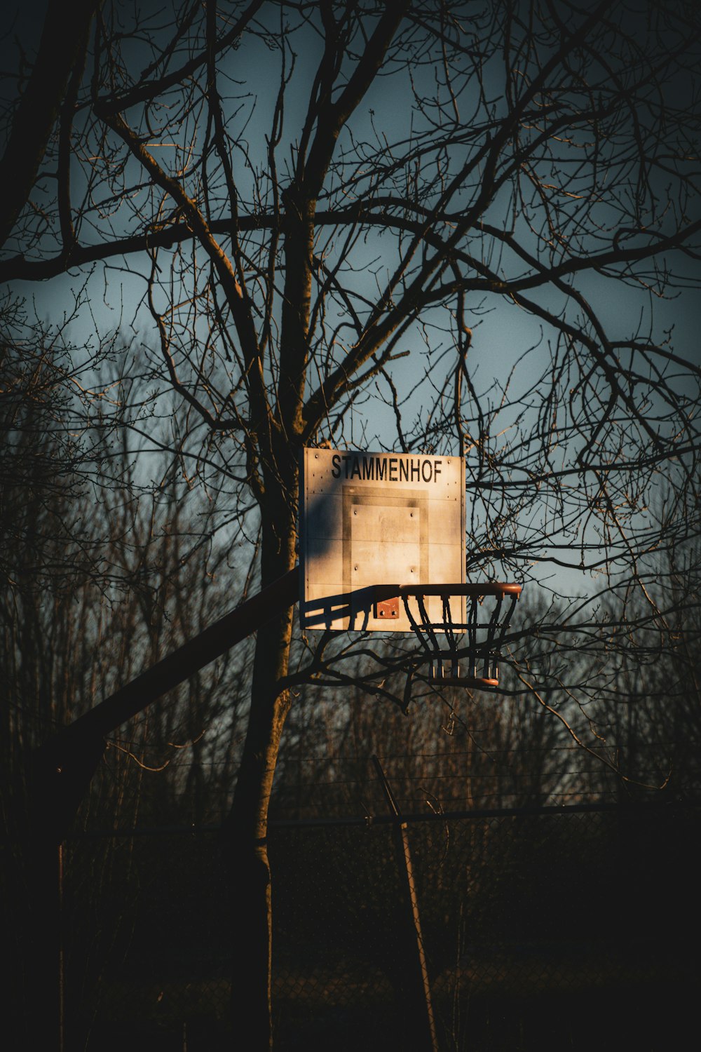 a sign that is hanging from a tree