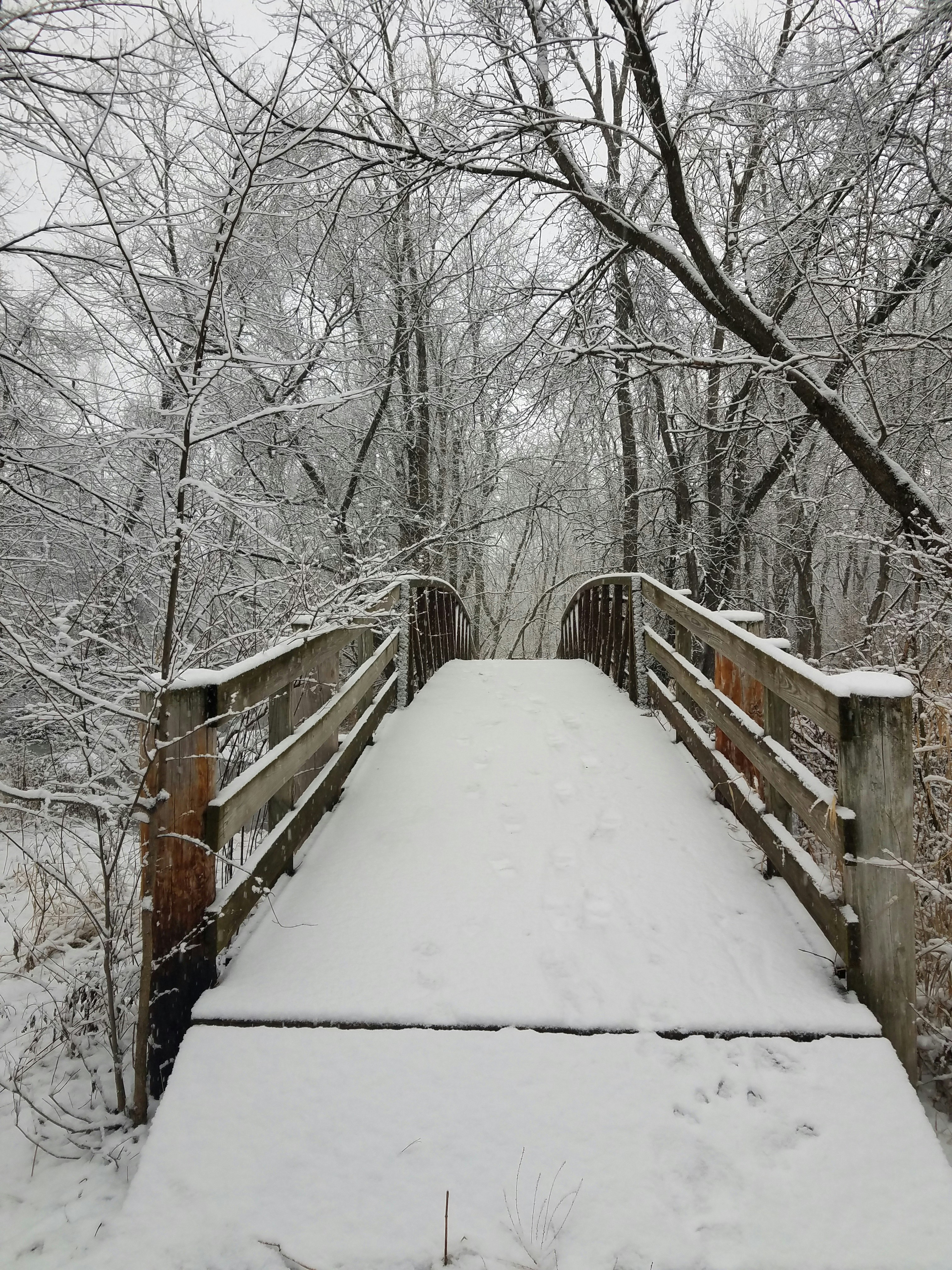 Photo by scarlettweiss