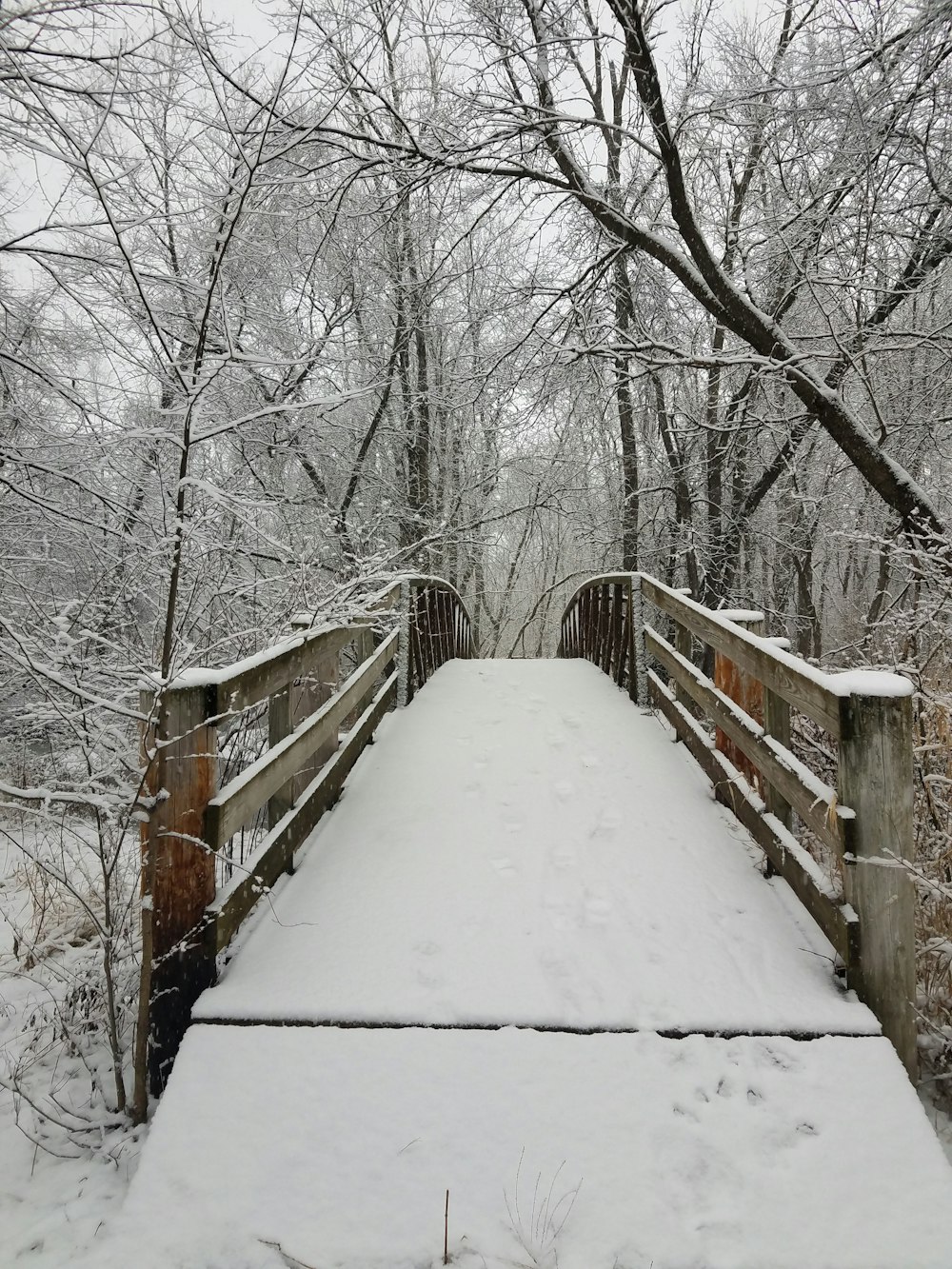 a wooden bridge in the middle of a snowy forest