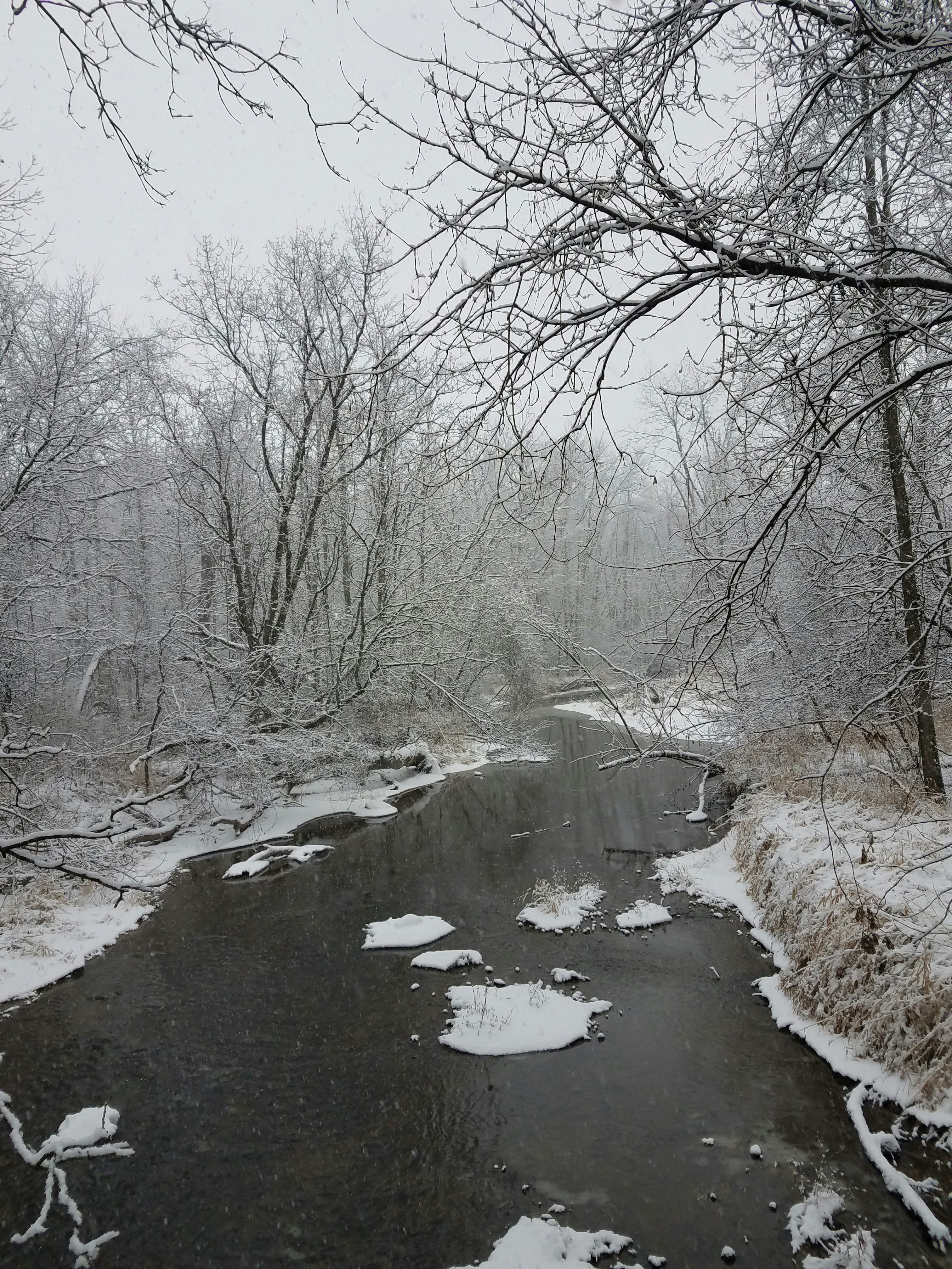 Photo by scarlettweiss