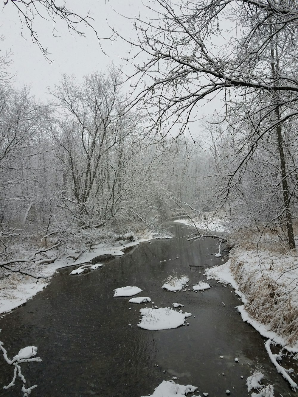 a small stream running through a snow covered forest