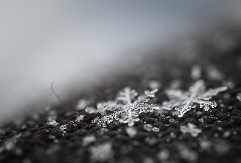 a close up of snow flakes on a black surface